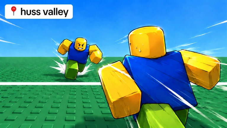 Huss Valley Codes